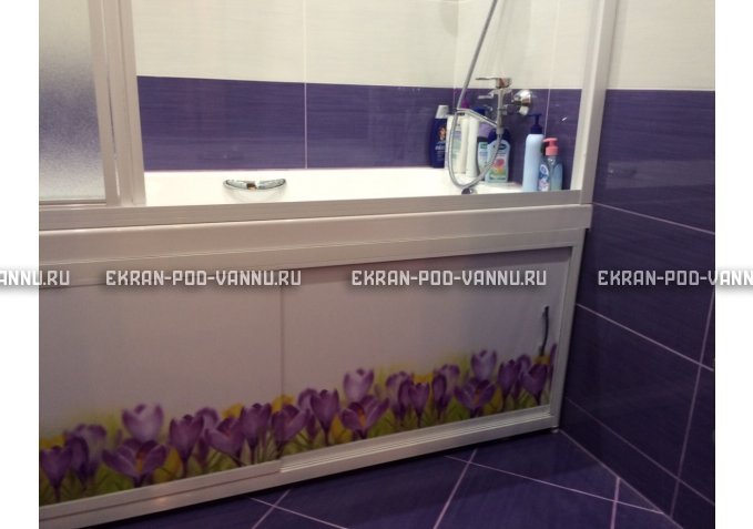 Экран на роликах EUROPLEX  Ирисы – купить по цене 12400 руб. в интернет-магазине в городе Кемерово картинка 3