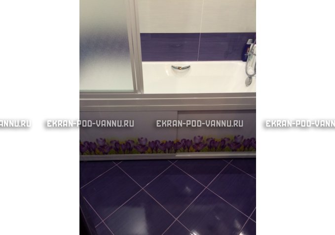 Экран на роликах EUROPLEX  Ирисы – купить по цене 12400 руб. в интернет-магазине в городе Кемерово картинка 4