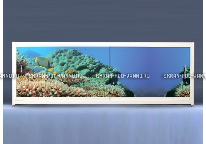 Экран на роликах EUROPLEX Коралловые рифы – купить по цене 12400 руб. в интернет-магазине в городе Кемерово картинка 1